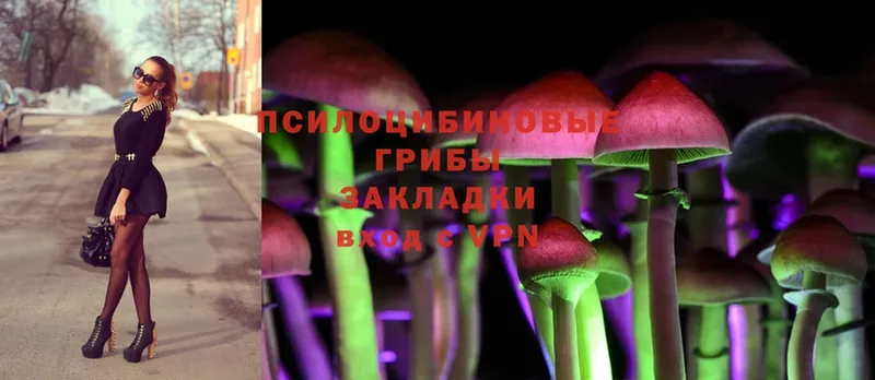 Галлюциногенные грибы MAGIC MUSHROOMS  Белая Калитва 